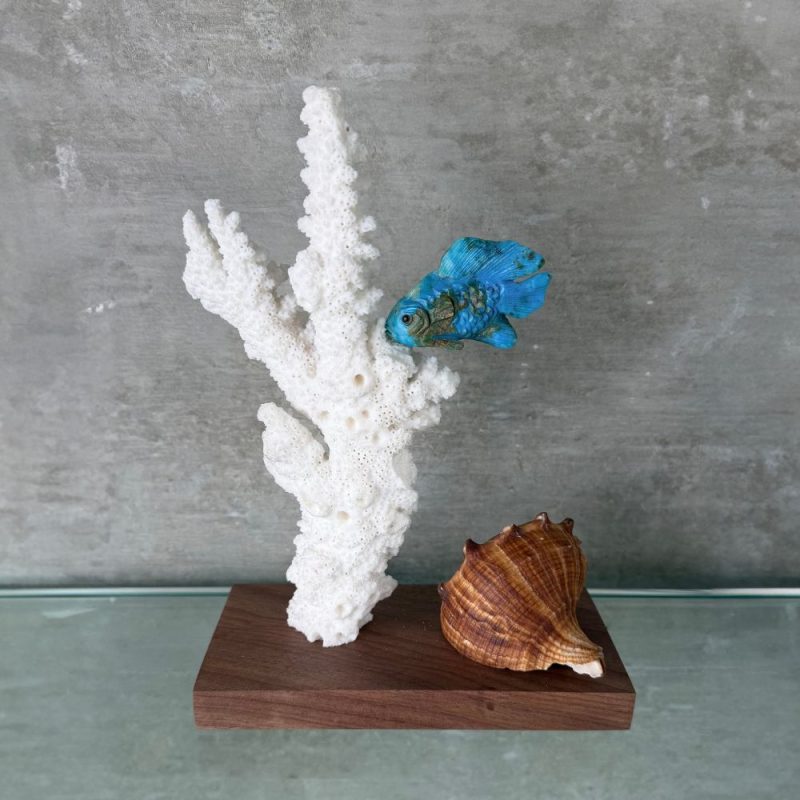 Pez de Ópalo Andino, Coral y Caracola