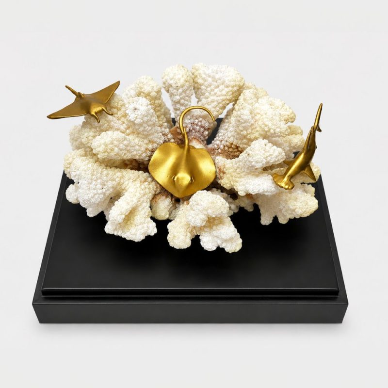 Coral con figuras marinas